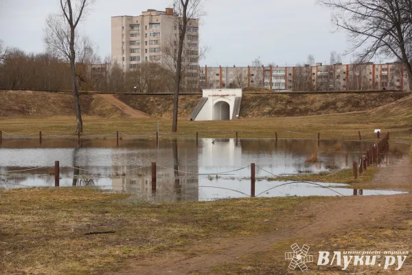 Сегодня в Великих Луках будет пасмурно