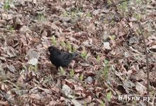 Прогноз погоды на 16 апреля в Великих Луках