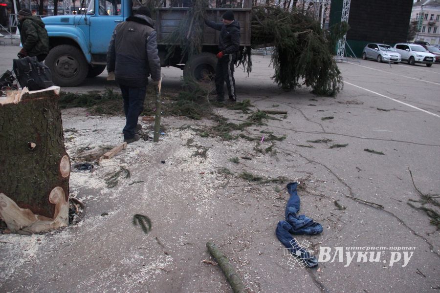 Необычное украшение сняли с главной ёлки Великих Лук (ФОТО)