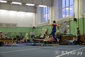 В Великих Луках состоялось Первенство по командной гимнастике (фото)