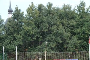 День города