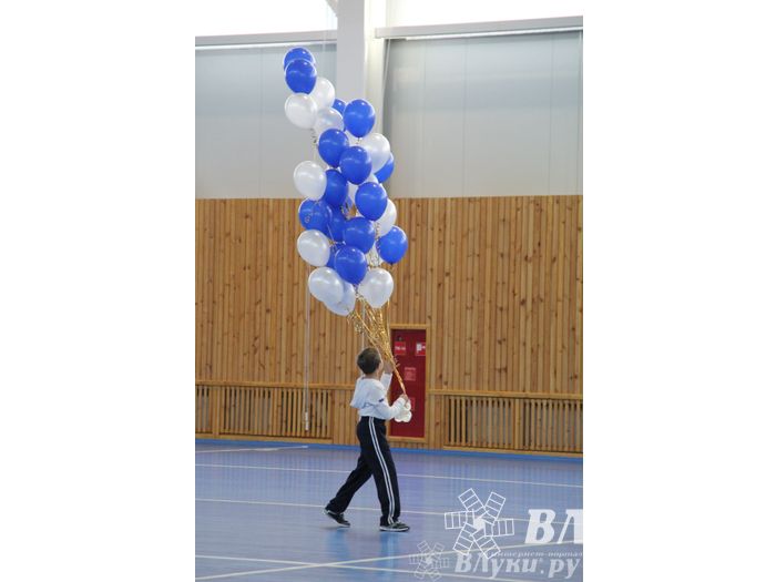 Открытие спортивно-оздоровительного комплекса «Стрелец» (фото)