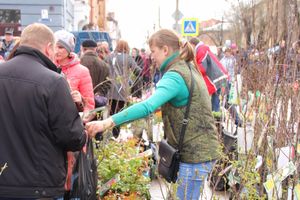 В Великих Луках проходит Весенняя ярмарка (ФОТО)