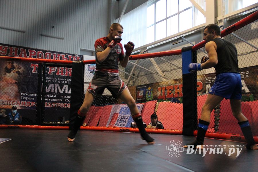 В Великих Луках прошел кубок по смешанному боевому единоборству (ФОТО)