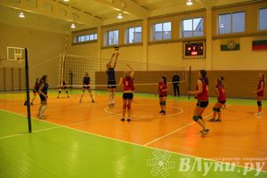 В Великих Луках проходит турнир по волейболу среди женских команд (фото)