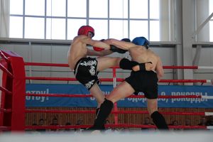 В Великих Луках прошел Кубок области по кикбоксингу (ФОТО)