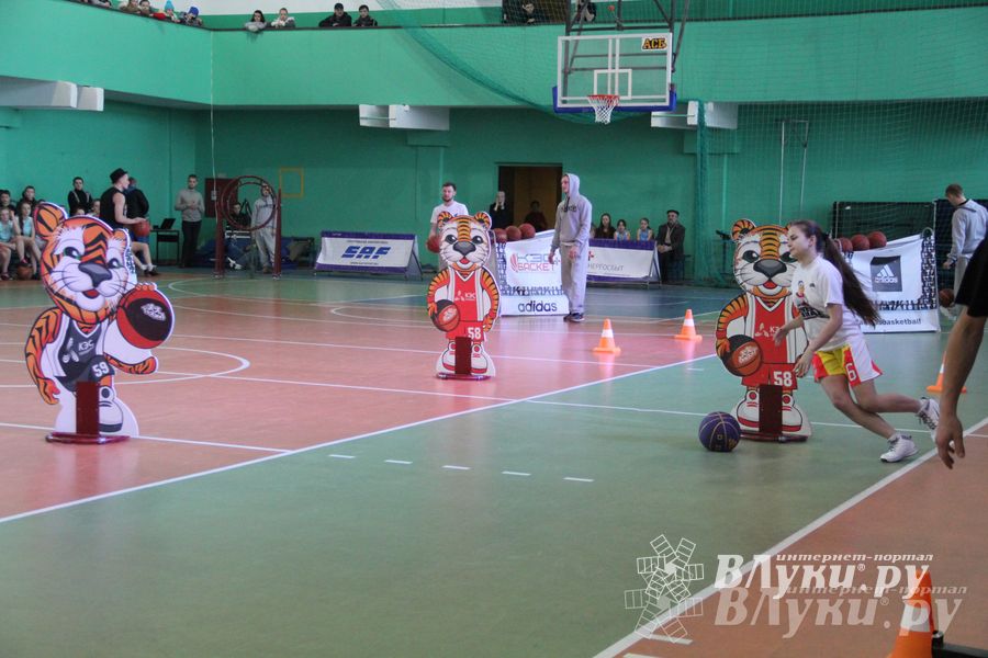 В Великих Луках прошли финальные игры Чемпионата ШБЛ «КЭС-БАСКЕТ» (фото)