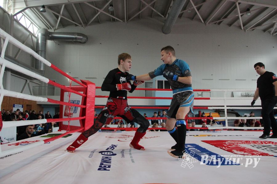 Открытый кубок по смешанному боевому единоборству ММА прошел в Великих Луках (ФОТО)