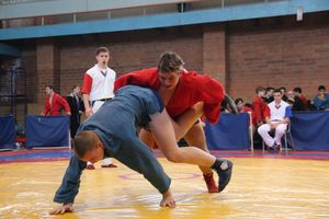 Великолукские самбисты завоевали 45 медалей на открытом первенстве города (ФОТО)