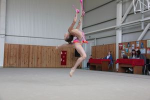 В Великих Луках прошли соревнования по по художественной гимнастике (ФОТО)
