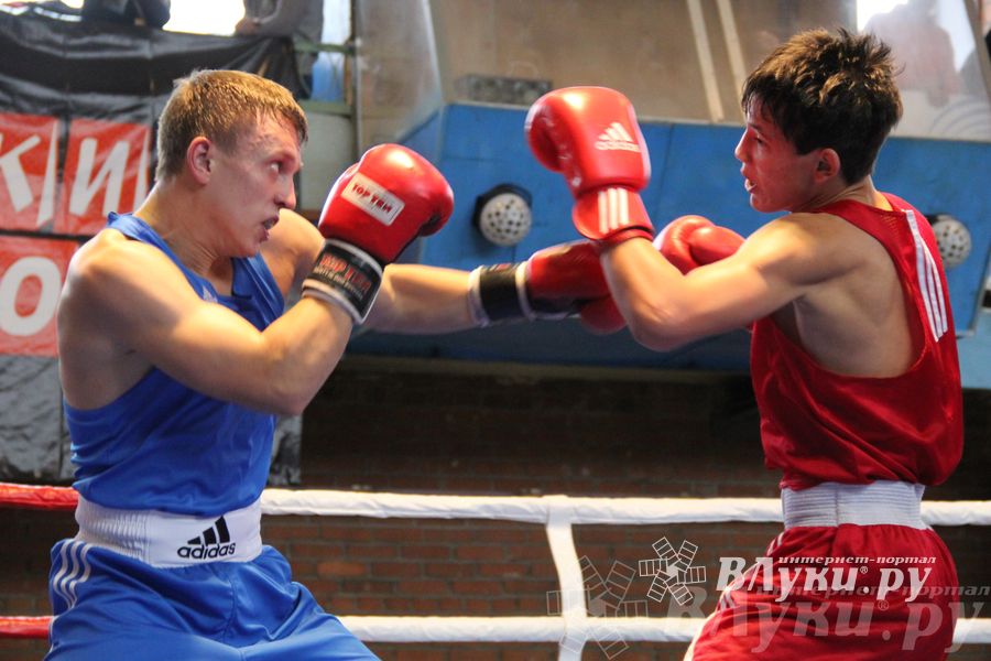 16-й Международный турнир по боксу (фото)