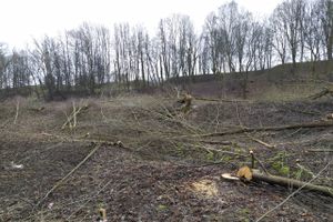 В Великих Луках приступили к строительству парка «Петровский» (ФОТО)
