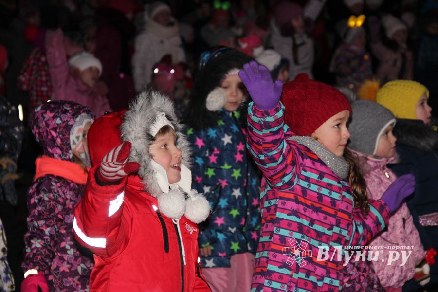 В Великих Луках зажгли Ёлку (ФОТО)