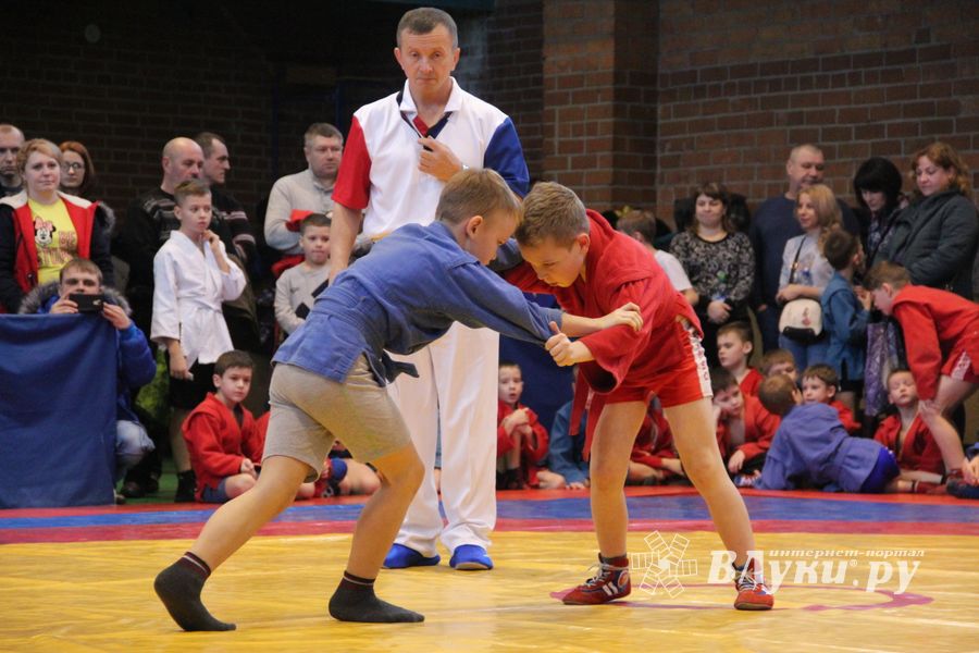 Открытый турнир по самбо «Новогодняя звезда-2019» прошел в Великих Луках (ФОТО)