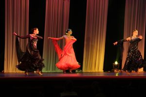 В Великих Луках прошел концерт, посвященный дню освобождения города (фото)