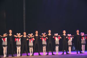 18 мая состоялся юбилейный концерт коллектива мажореток «Золотые погоны» (ФОТО)