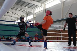 В Великих Луках проходит открытый кубок по смешанному боевому единоборству ММА (ФОТО) (12+)