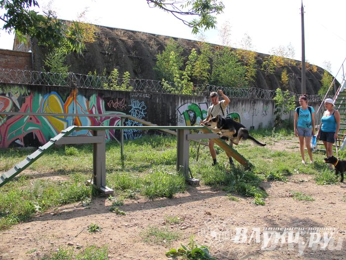 День открытых дверей на спортивно-дрессировочной площадке