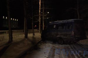 В Великих Луках пьяный водитель Газели врезался в дерево (фото)