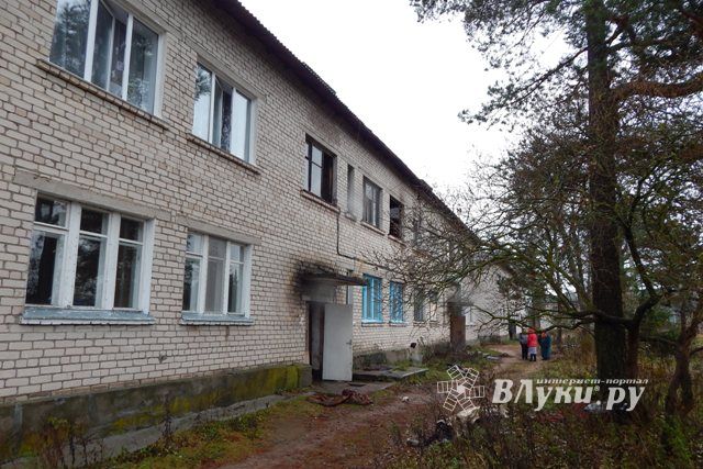 В Псковской области на пожаре сгорели отец и дочь (фото)