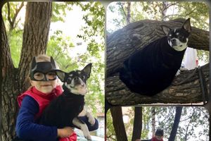 Объявляем победителей фотоконкурса «Косточка к Новому году» (ФОТО)