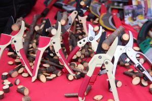 Ярмарка «Осень-2017» (ФОТО)