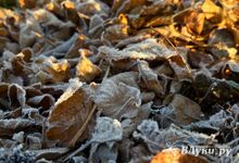 До -6 прогнозируют синоптики в Псковской области этой ночью