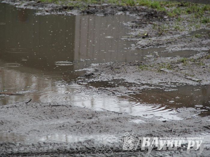 Этот странный январь