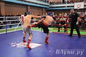 В Великих Луках прошел межрегиональный Открытый Кубок по смешанному боевому единоборству (фото)
