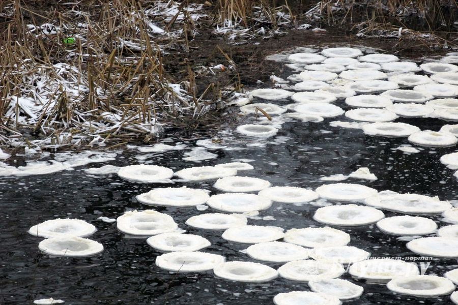 Удивительное природное явление в Великих Луках (ФОТО)