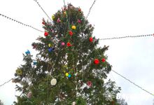 В Великих Луках выберут лучшую новогоднюю ёлку