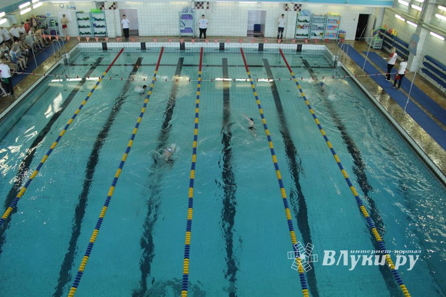 В Великих Луках прошел Чемпионат и Кубок города по плаванию (фото)