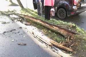 В Великих Луках стихия наломала немало (ФОТО)