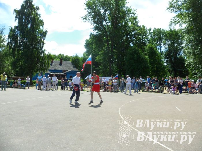 В Великих Луках прошел Всероссийский олимпийский день (фото)
