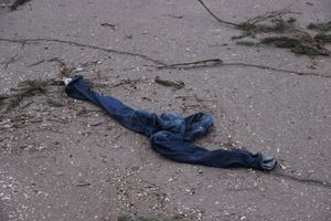 Необычное украшение сняли с главной ёлки Великих Лук (ФОТО)