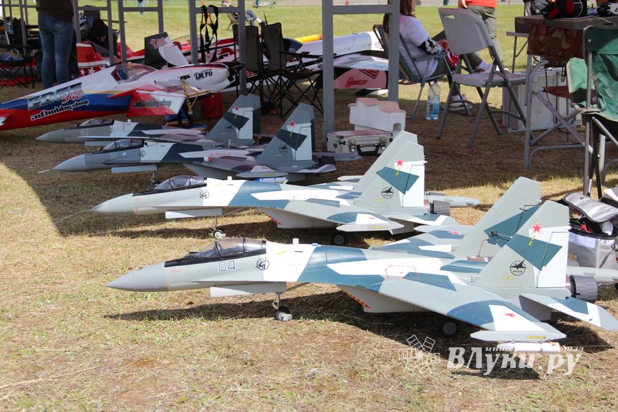 Фестиваль авиамодельного спорта России прошел в Великих Луках (ФОТО)