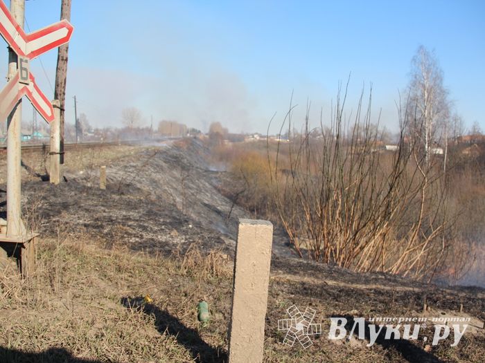 Великолукский район полыхает (ФОТО; ВИДЕО)