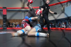 В Великих Луках прошел кубок по смешанному боевому единоборству (ФОТО)