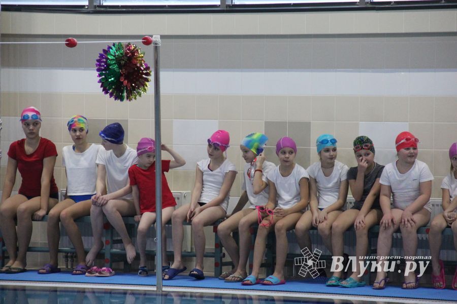 В Великолукском Айсберге прошли соревнования по плаванию на призы Деда Мороза (ФОТО)