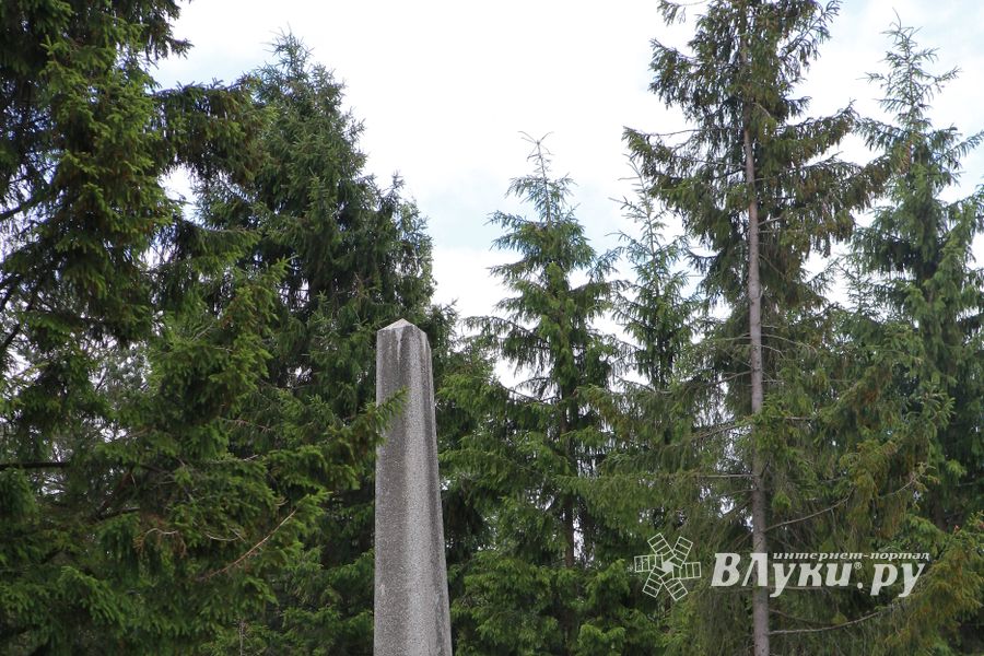 Фото А. Воробьева