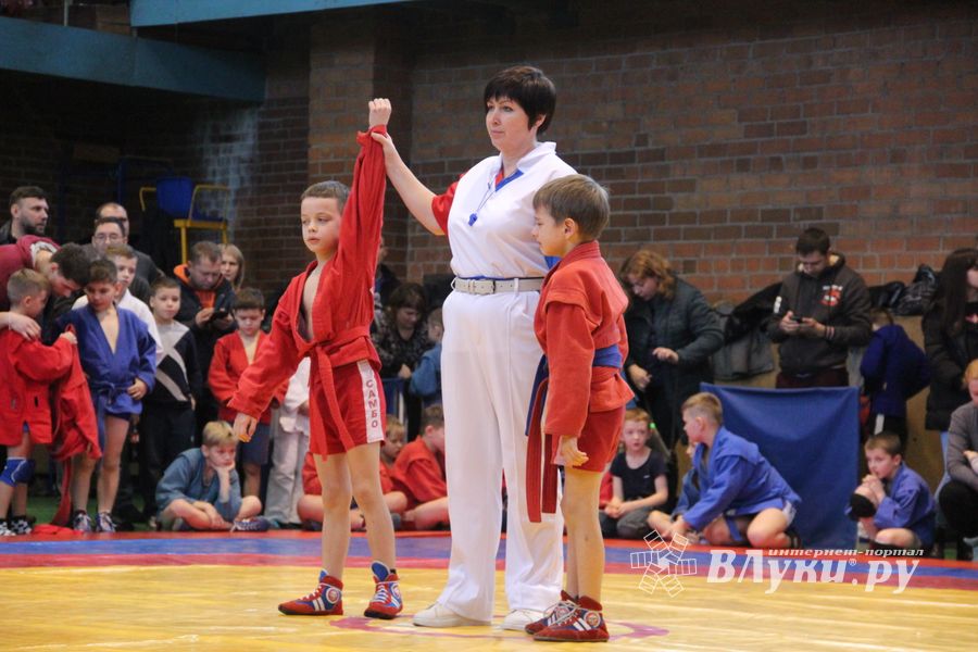 Открытый турнир по самбо «Новогодняя звезда-2019» прошел в Великих Луках (ФОТО)