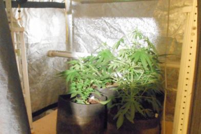 В Псковской области полицейскими выявлена нарколаборатория (ФОТО 18+)