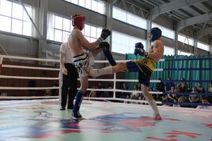 В Великих Луках прошел Кубок области по кикбоксингу (ФОТО)