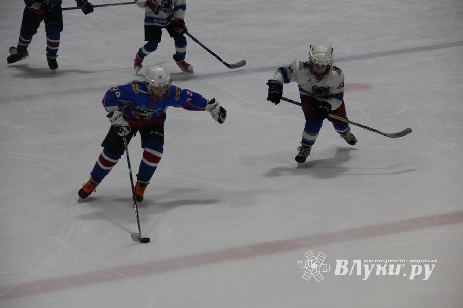 В Великих Луках прошел детский Открытый турнир по хоккею (ФОТО)