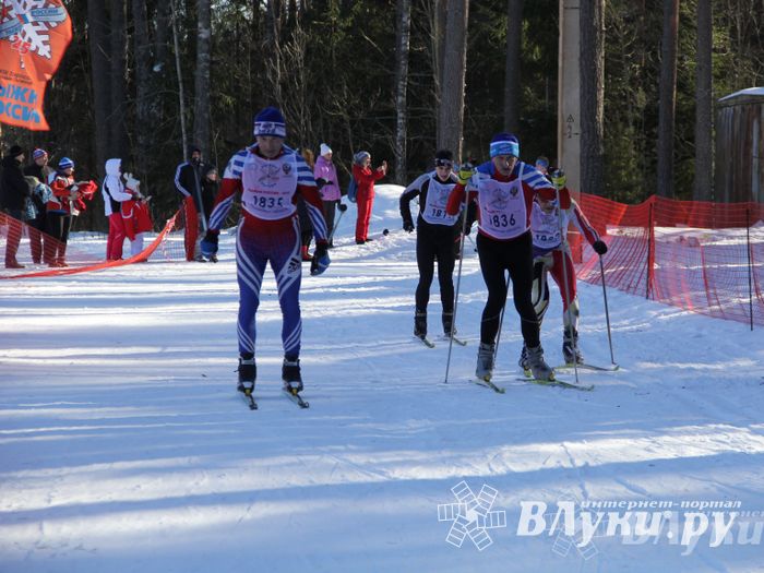 Всероссийская массовая лыжная гонка «Лыжня России 2015» состоялась в Великолукском районе (фото)