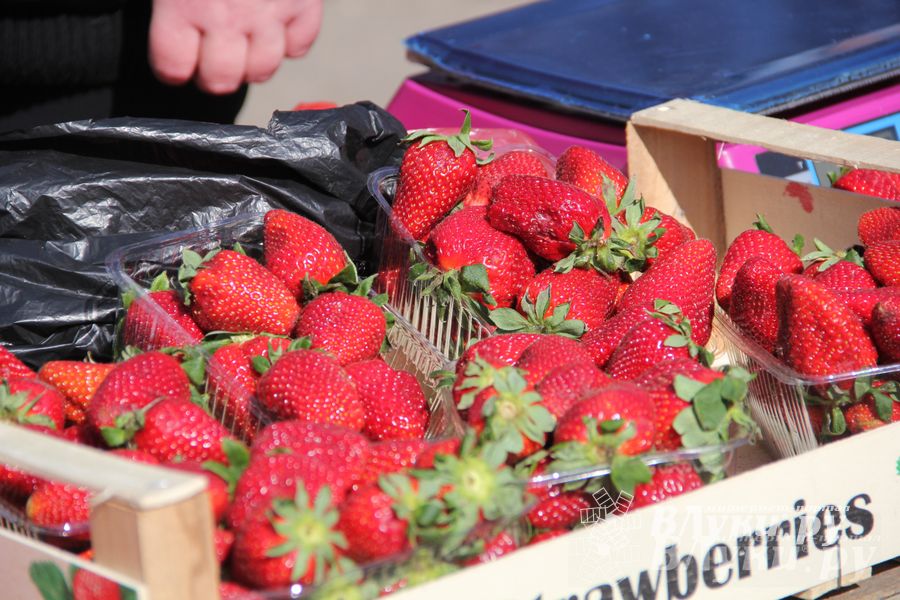 Универсальная торговая ярмарка «Весна-2015» прошла в Великих Луках (фото)