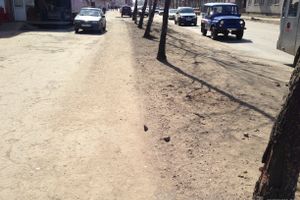 Весне дорогу!