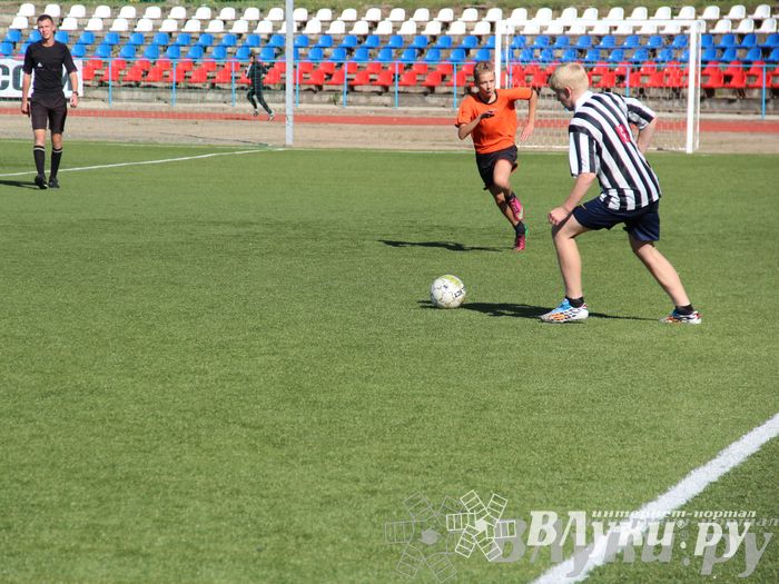 В Великих Луках завершился открытый турнир по футболу памяти М. Ф. Хренова (фото)