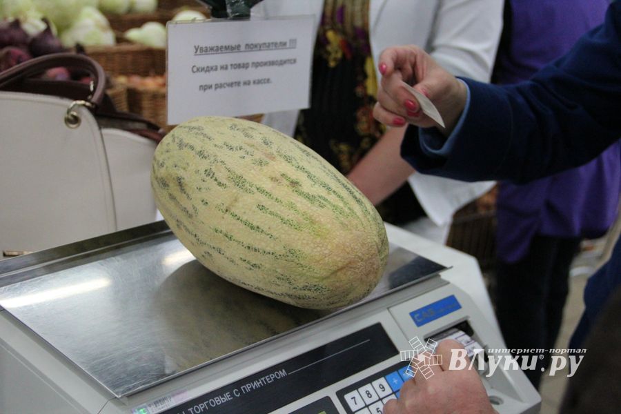 В Великих Луках проверили бахчевые (ФОТО)