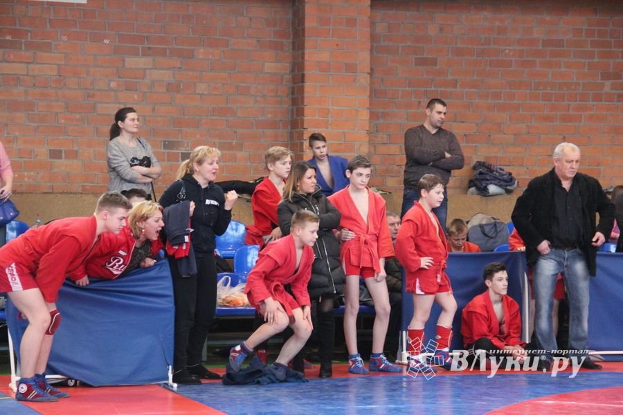 В Великих Луках прошли соревнования по самбо (ФОТО)